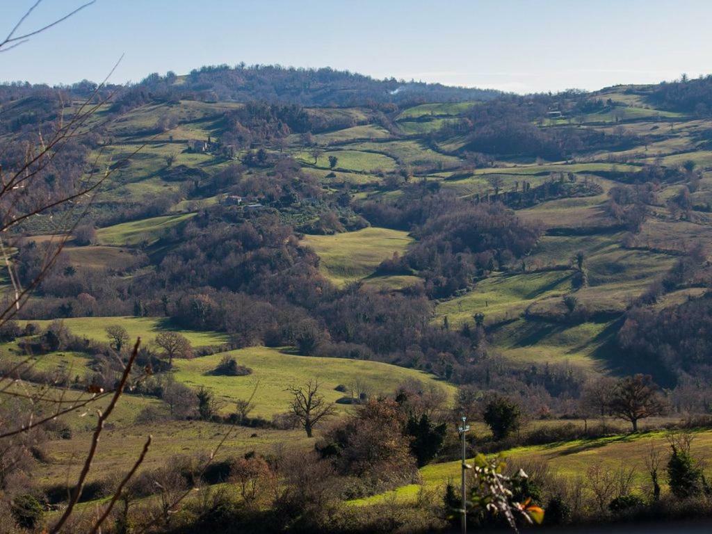 Le Casette Country House Petricci Luaran gambar
