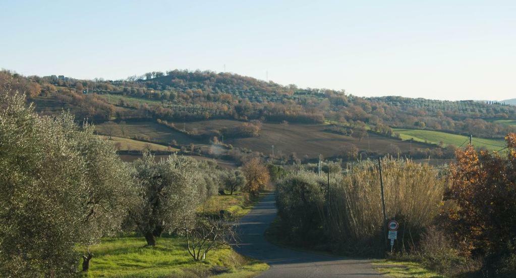 Le Casette Country House Petricci Luaran gambar